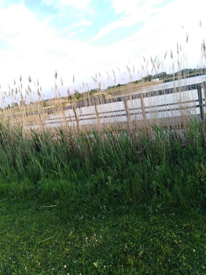 Luxueuze Stacaravan In Bredene Met Eigen Terras En Tuintje 外观 照片